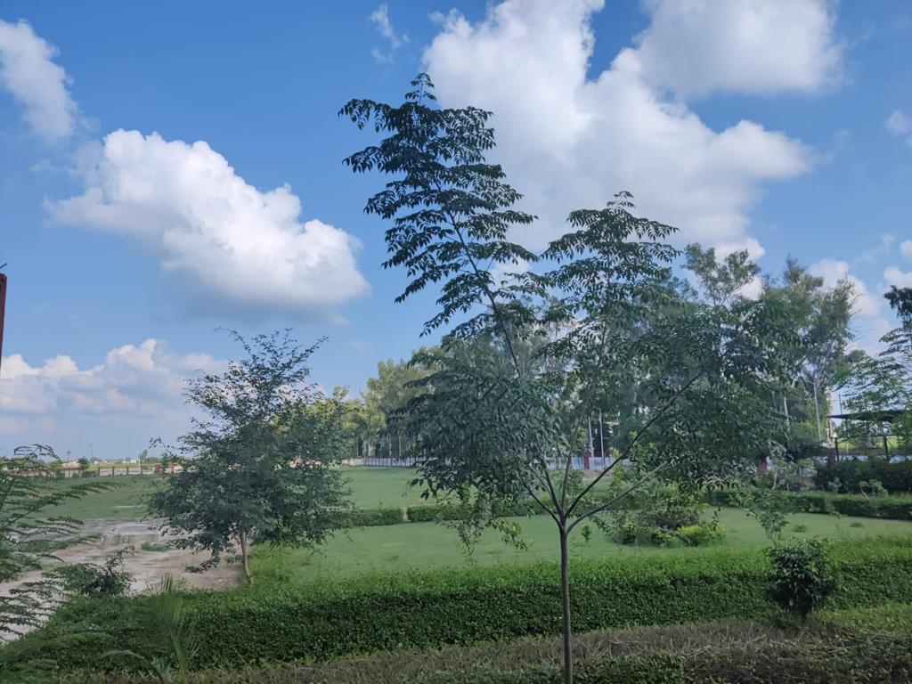 Green Campus