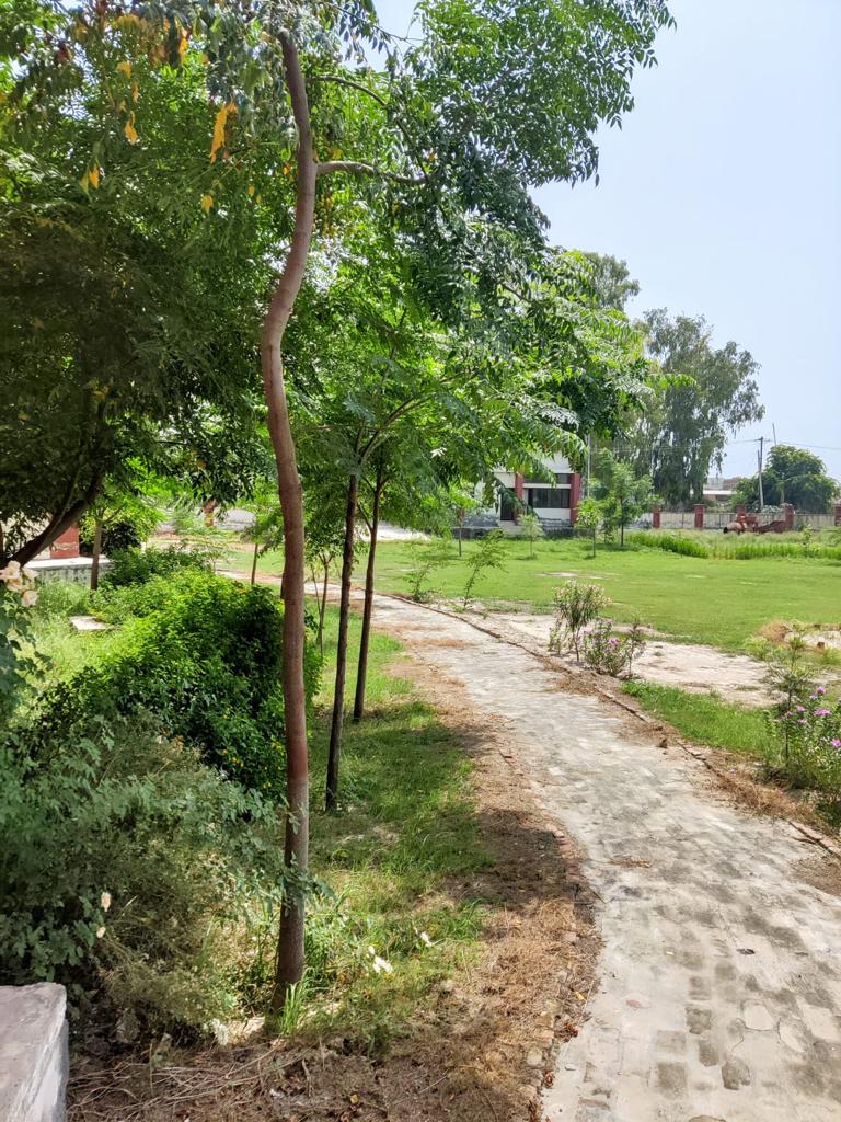 Green Campus